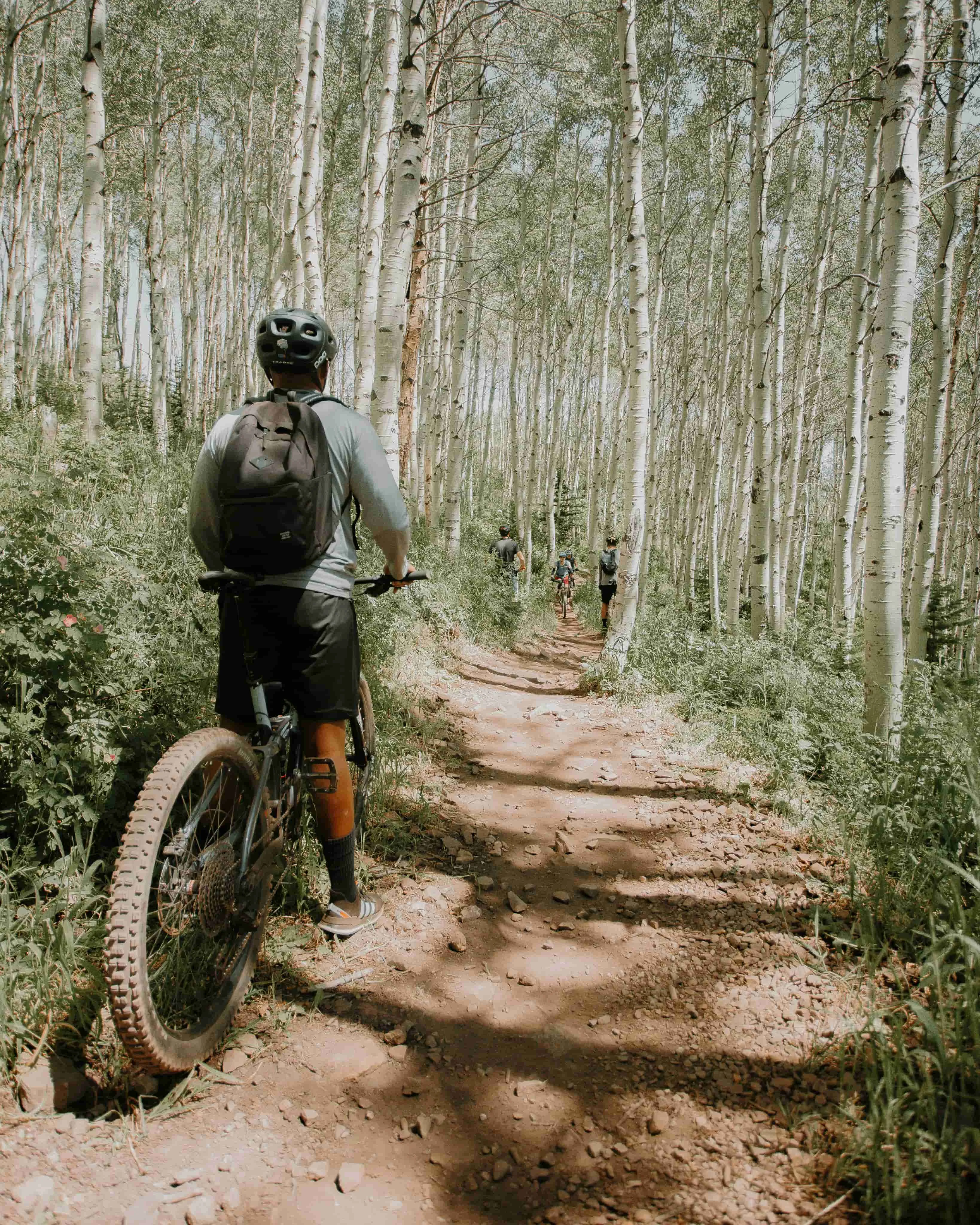 Mountain Cycling