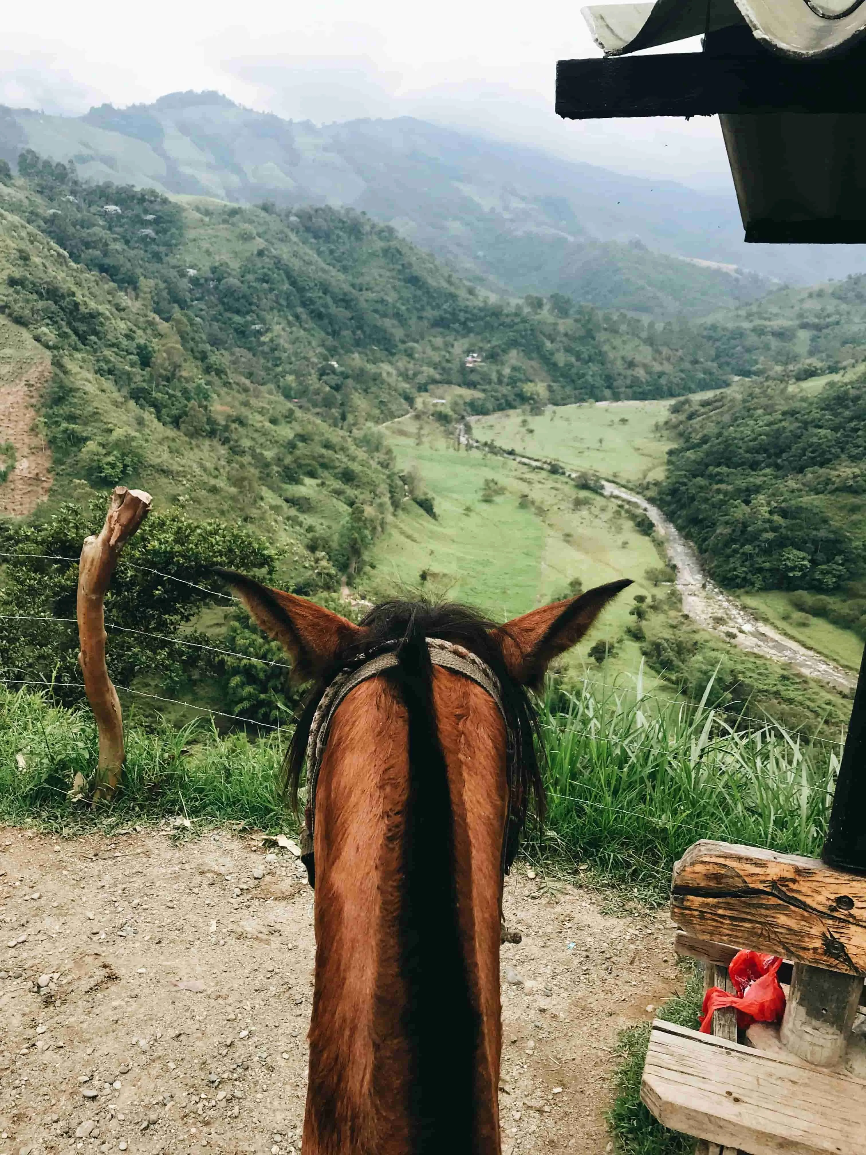 Horseback Riding
