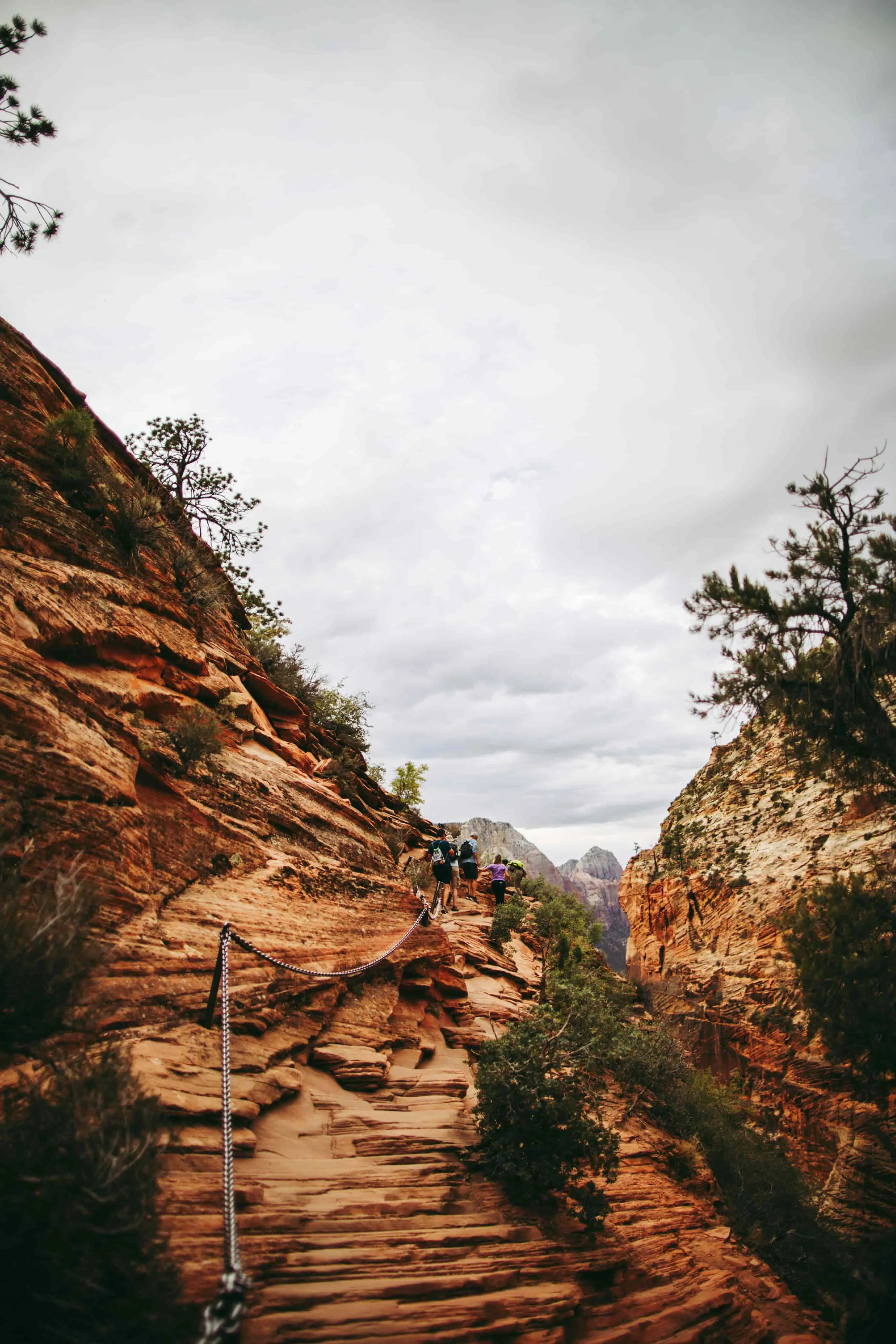 Canyon Rope Swing